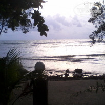 фото из отзыва ID 1193168