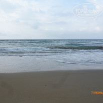 фото из отзыва ID 1193282