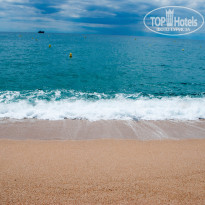 фото из отзыва ID 1193324