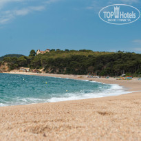 фото из отзыва ID 1193324