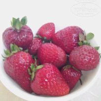 фото из отзыва ID 1193335