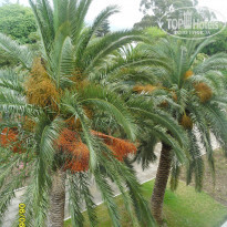 фото из отзыва ID 1193527