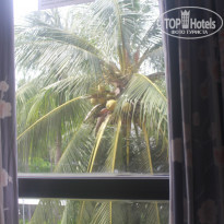 фото из отзыва ID 1193985