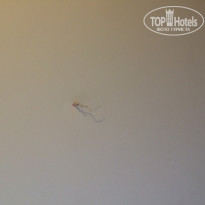 фото из отзыва ID 1194345