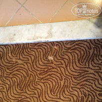 фото из отзыва ID 1194345