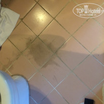 фото из отзыва ID 1194345