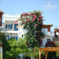 фото из отзыва ID 1194504