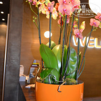 фото из отзыва ID 1194682