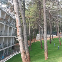 фото из отзыва ID 1194987