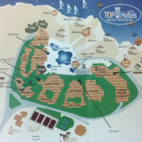 фото из отзыва ID 1195205