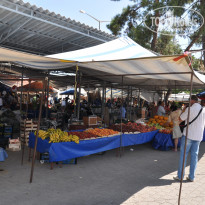 фото из отзыва ID 1195220