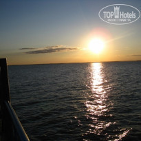 фото из отзыва ID 1195499