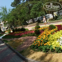 фото из отзыва ID 1195736