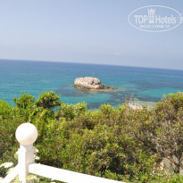 фото из отзыва ID 1195817