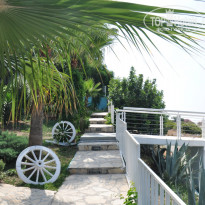 фото из отзыва ID 1195817