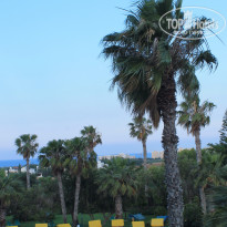 фото из отзыва ID 1195981