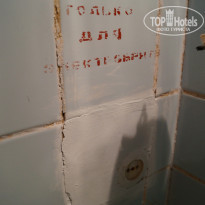 фото из отзыва ID 1196055