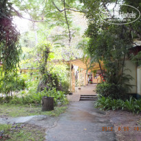 фото из отзыва ID 1196169