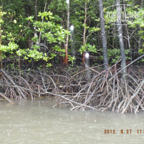 фото из отзыва ID 1196169