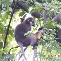 фото из отзыва ID 1196169