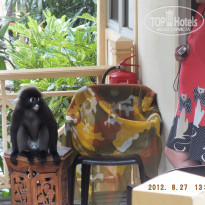 фото из отзыва ID 1196169