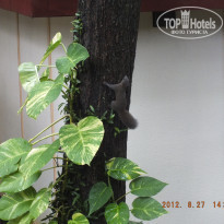 фото из отзыва ID 1196169