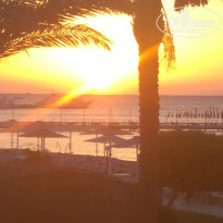 фото из отзыва ID 1196174