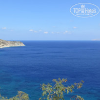 фото из отзыва ID 1196303