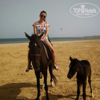 фото из отзыва ID 1196309