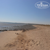 фото из отзыва ID 1196317