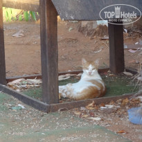 фото из отзыва ID 1196322