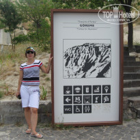 фото из отзыва ID 1196497