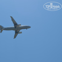 фото из отзыва ID 1196776