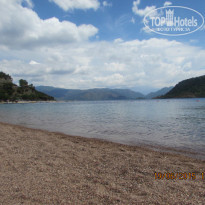 фото из отзыва ID 1196503