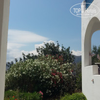 фото из отзыва ID 1197002