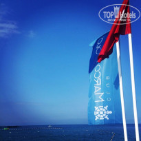 фото из отзыва ID 1197137