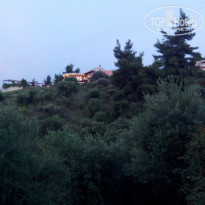 фото из отзыва ID 1197235