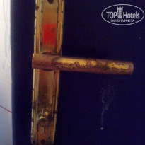 фото из отзыва ID 1197296