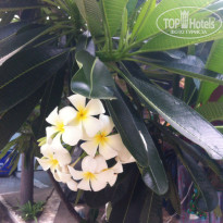 фото из отзыва ID 1197328