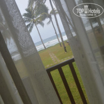 фото из отзыва ID 1197467