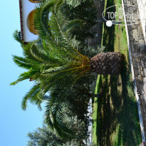 фото из отзыва ID 1197528