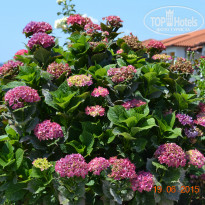 фото из отзыва ID 1197528