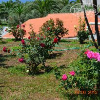 фото из отзыва ID 1197528