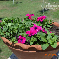 фото из отзыва ID 1197528