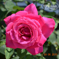 фото из отзыва ID 1197528