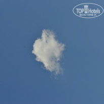 фото из отзыва ID 1197528