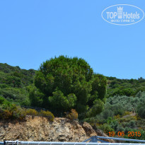 фото из отзыва ID 1197528