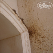 фото из отзыва ID 1197811