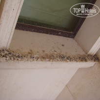 фото из отзыва ID 1197811