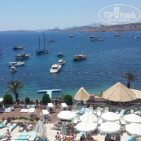 фото из отзыва ID 1197878